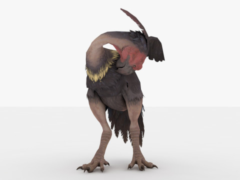 Axe Beak 3D 模型