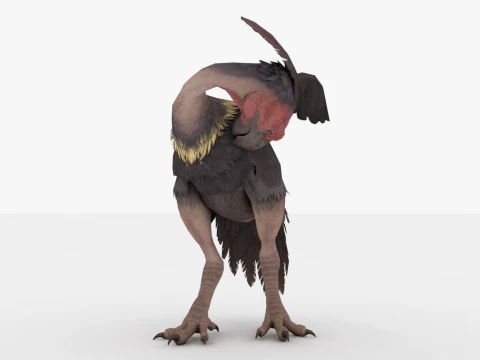 Axe Beak 3D Model