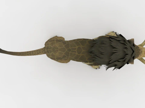 Baku Monster 3D Model