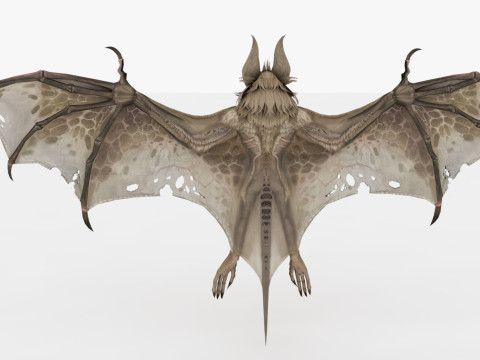 Bat 3D-Modell