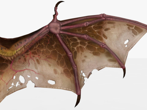 Bat 3D-Modell