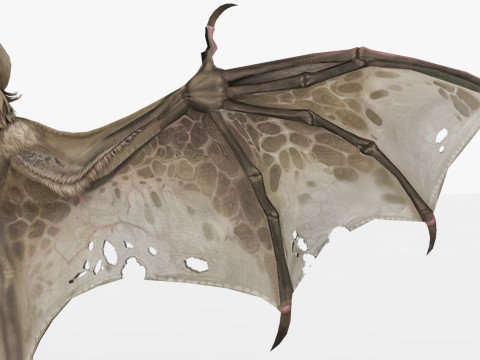 Bat 3D-Modell