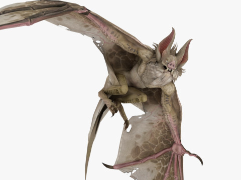 Bat 3D-Modell