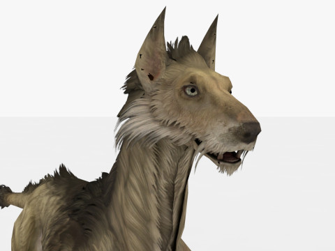 Blink Dog Rigged and Animated Modello 3D