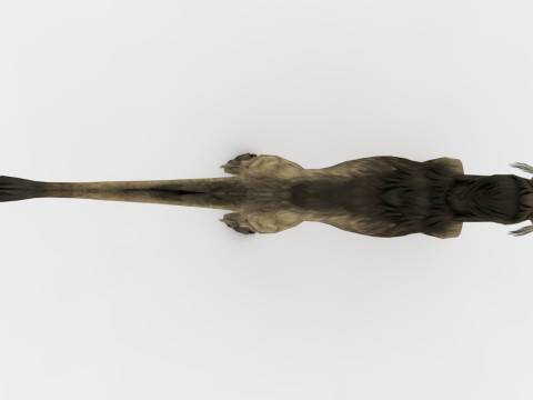 Blink Dog Rigged and Animated Modello 3D