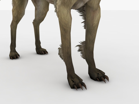 Blink Dog Rigged and Animated Modello 3D