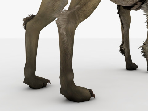 Blink Dog Rigged and Animated Modello 3D
