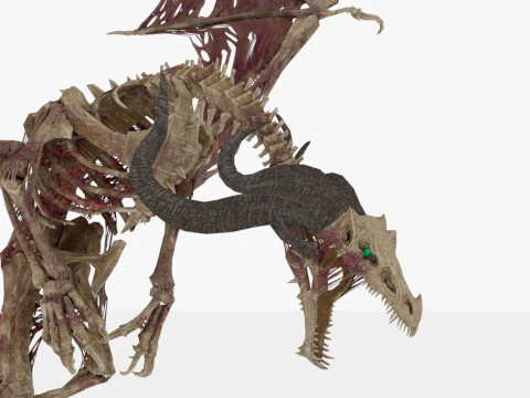 Bone Dragon Monster 3D Model
