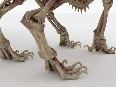 Bone Dragon Monster 3D Model
