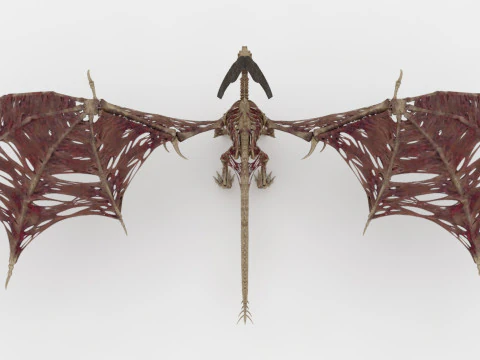 Bone Dragon Monster 3D Model