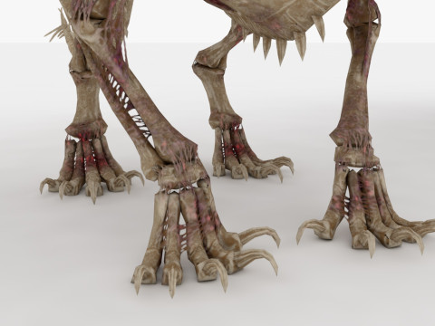 Bone Dragon Monster 3D मॉडल