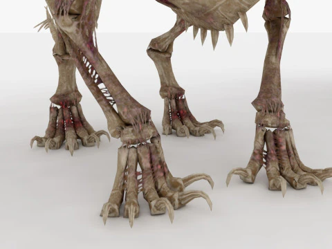 Bone Dragon Monster 3D Model