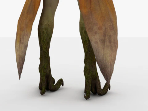 드라이어드 3D 모델