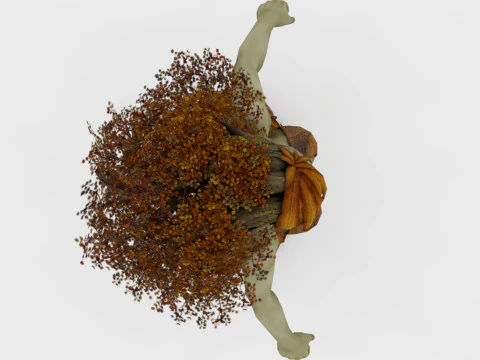 드라이어드 3D 모델