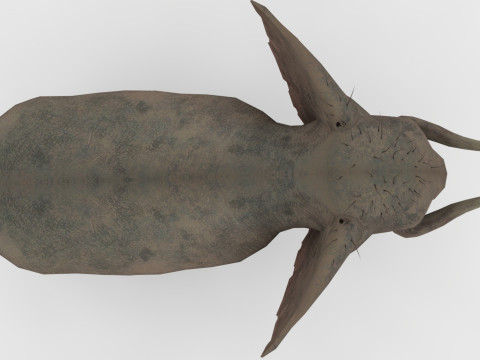 Elephant 3D Модель
