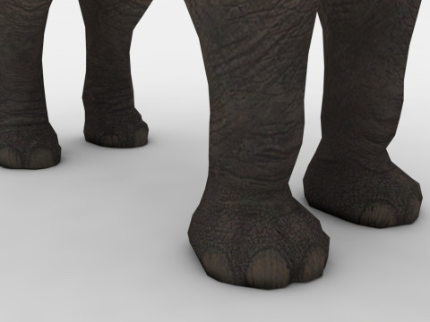 Elephant 3D Модель