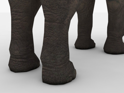 Elephant 3D Модель