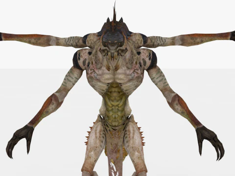 Ettercap 3D Model