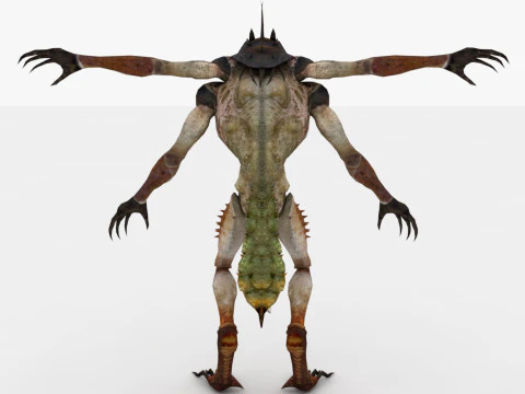 Ettercap 3D Model