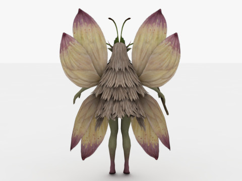 Fairy Modello 3D