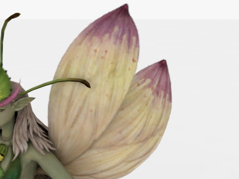 Fairy Modello 3D