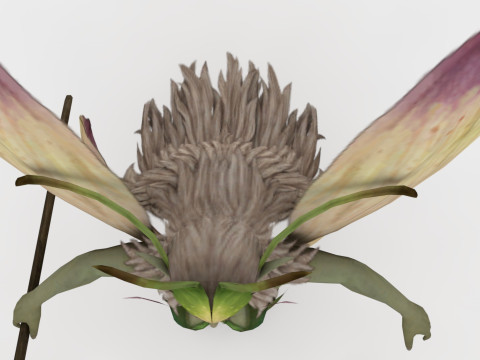 Fairy Modello 3D