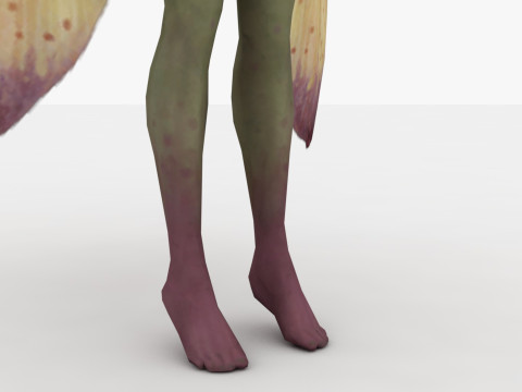 Fairy Modello 3D