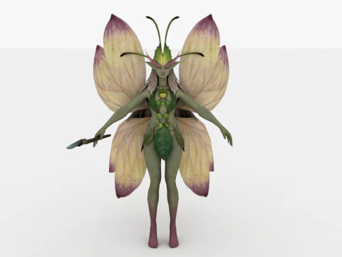 Peri Model 3D