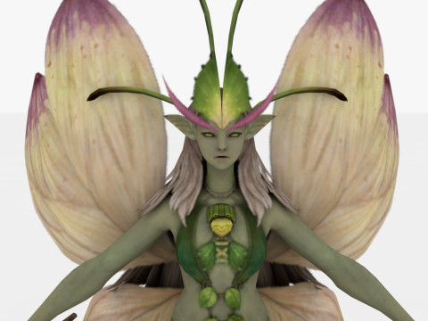 Fairy Modello 3D