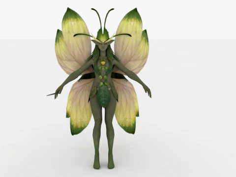 Peri Model 3D
