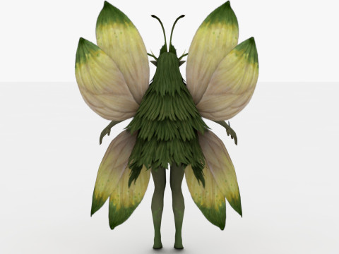 Fairy Modello 3D