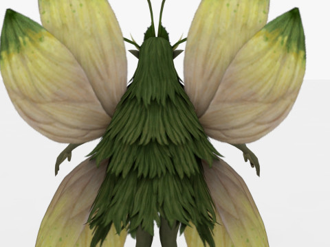 Fairy Modello 3D
