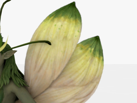 Fairy Modello 3D