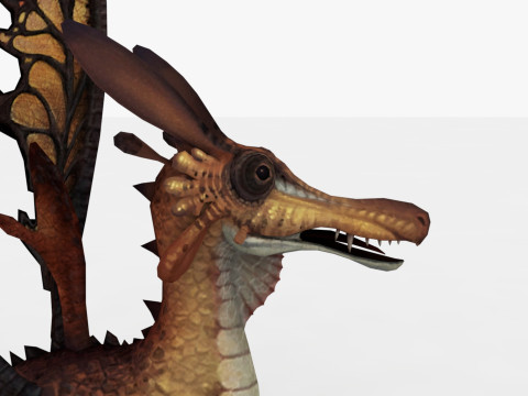 Fairy Dragon Model 3D
