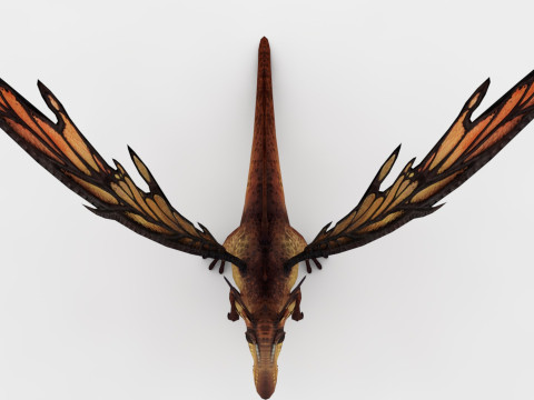 Fairy Dragon Model 3D