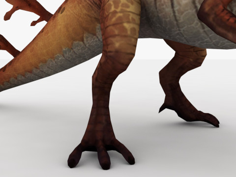 Fairy Dragon Model 3D