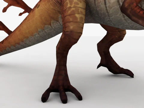 Fairy Dragon 3D Model