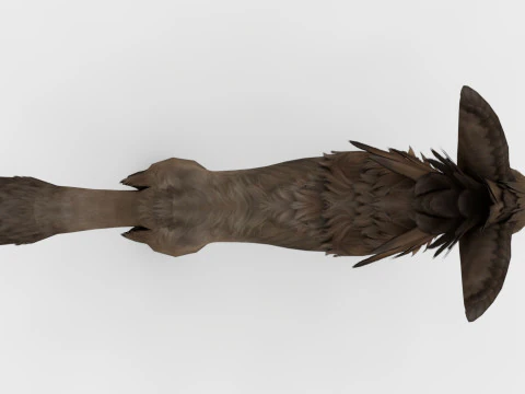 3in1 Fox 3D Model