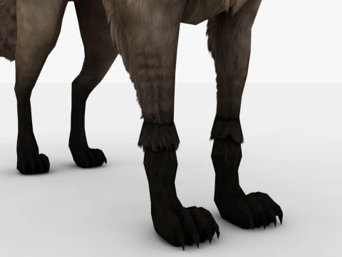 3in1 Fox 3D Model