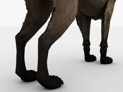 3in1 Fox 3D Model