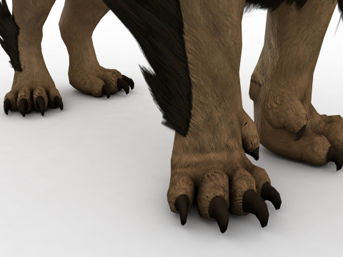 Ashluha 3D Модель