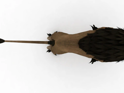 Ashluha 3D Model
