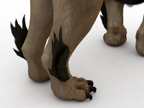Ashluha 3D Модель