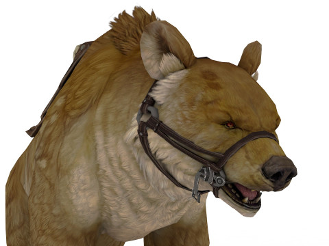 Brown Bear Model 3D