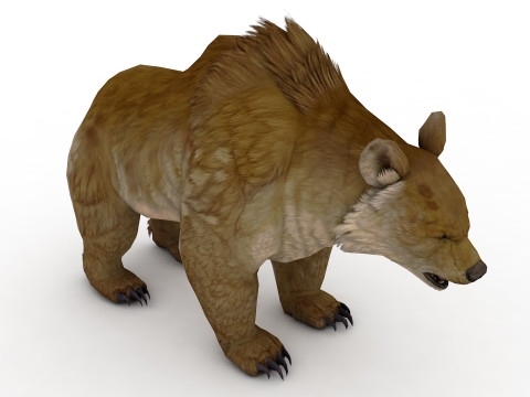 Brown Bear Model 3D