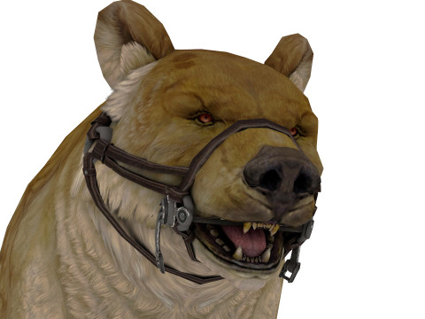 Brown Bear Model 3D