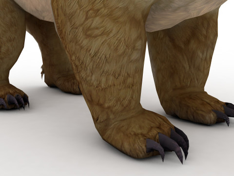 Brown Bear Model 3D