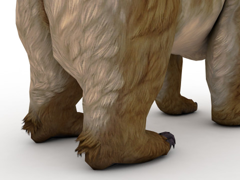 Brown Bear Model 3D