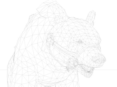 Brown Bear Model 3D