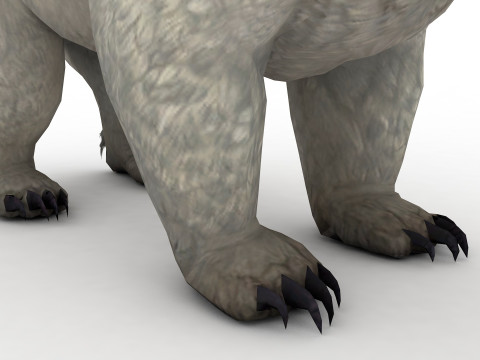 White polar BEAR Rigged 3D Model